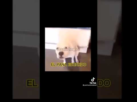 El Pana Eduardo😃