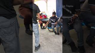 Putting in Pain Challenge