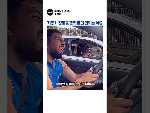 자동차 창문 내리고 다니다간🚗