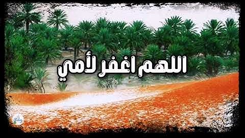 سورة الكهف من الآية ٤١ إلى الآية ٥٠