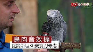 30