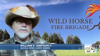 BLM Wild Horse and Burro nominee explains plans for wild horses