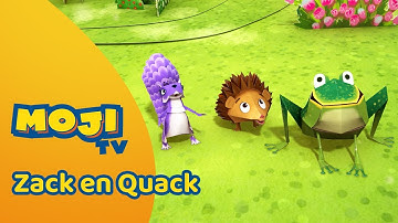 DE POP-UP VLIEGERWEDSTRIJD 🪁 | ZACK EN QUACK 🦆 | Nederlandse Kinderseries | MojiTV