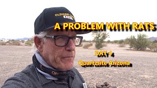 A PROBLEM WITH RATS - Continued visit to Quartzsite Arizona, Indian Fry Bread, RV Fix.