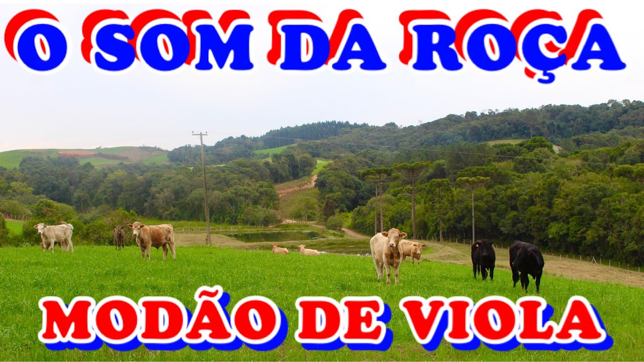O SOM DA ROÇA - Modão de Viola Caipira e Sertanejo Raiz (Um pedaço do passado no presente)