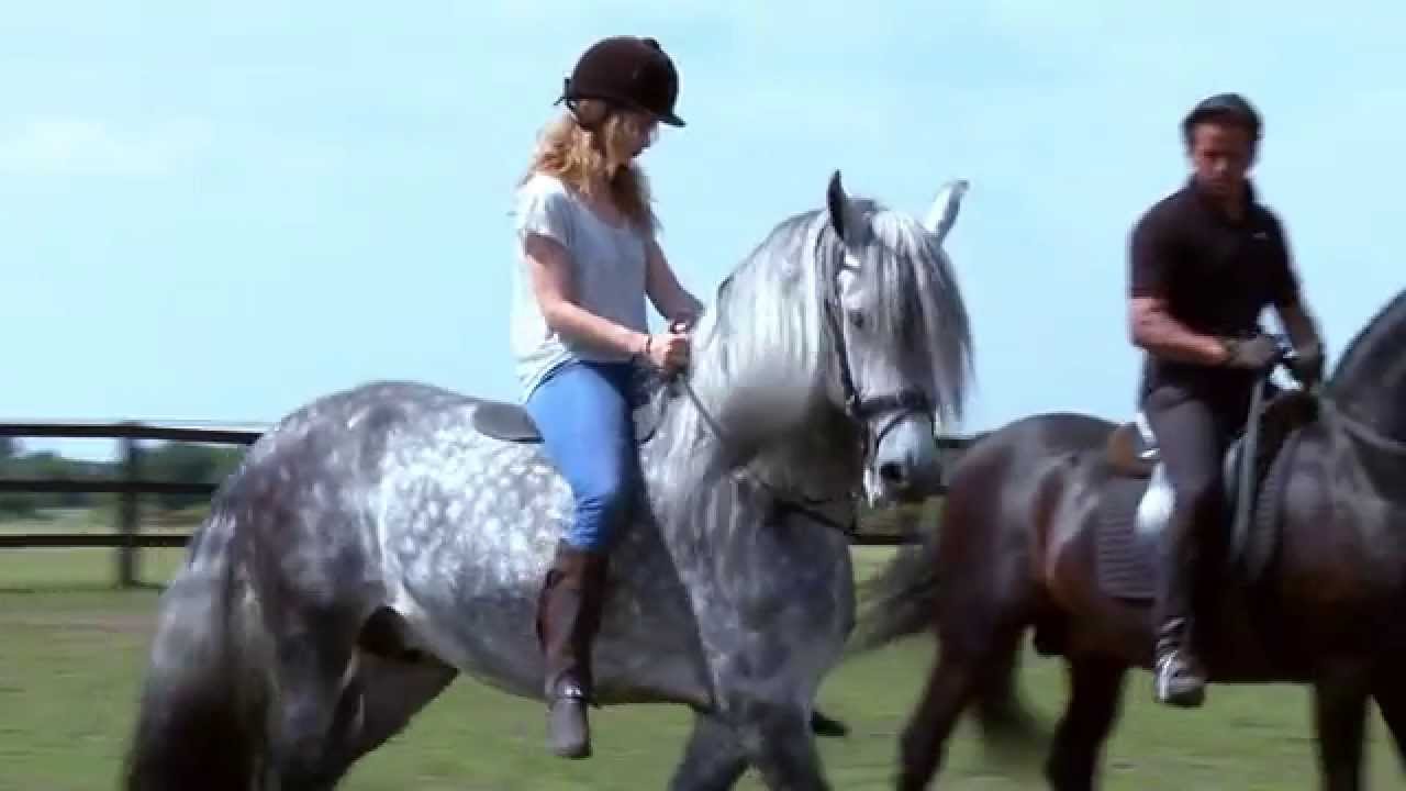 clips for crocs Disney's Cinderella | Working With Animals | Available on Digital HD, Blu-ray and DVD Now