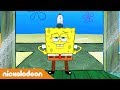 Spongebob | SpongeBob e i pantaloni lunghi | Nickelodeon Italia