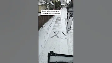 Когда вызвали на работу в выходной | прикол