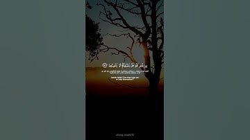 ياسر الدوسري - سورة الشعراء #quran #allah #الحمدلله #قرآن #allahuakbar #لا_اله_الا_الله #مكة