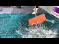 Vídeo Satisfatório de limpeza de Tapetes