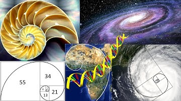 Infinite Sequences: Limits, Squeeze Theorem, Fibonacci Sequence & Golden Ratio + MORE