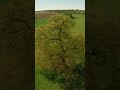 FPV Drone Highlights: Tricks and Maneuvers