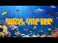 Theme Thursday: Under the Sea and Sea Creatures @havinguon7597 (Our late post)
