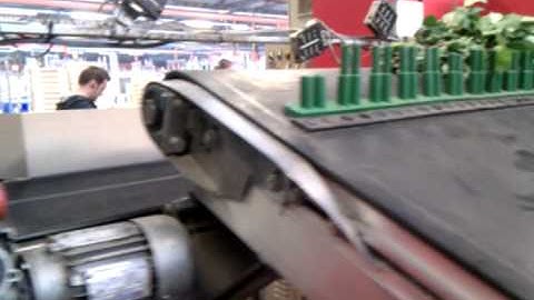 Flower Optimal Connection 3