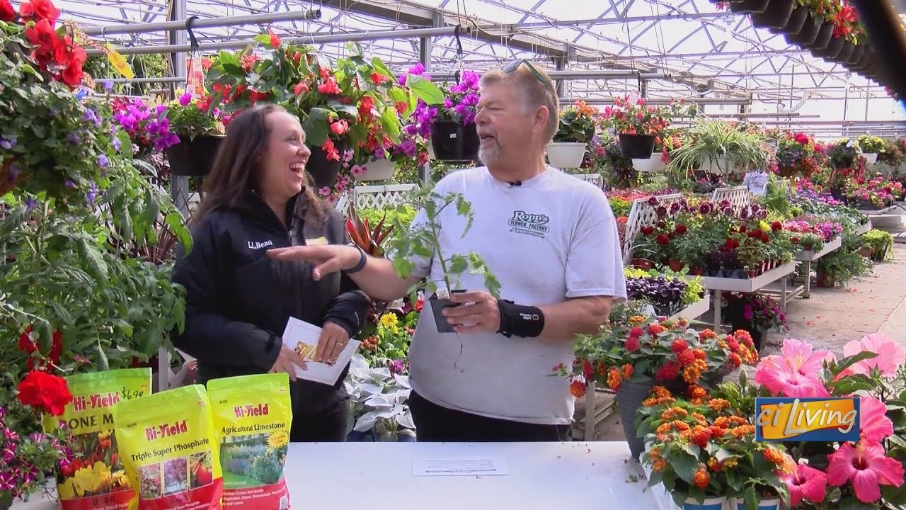 Transform Your Yard with Ropp's Flower Factory - YouTube