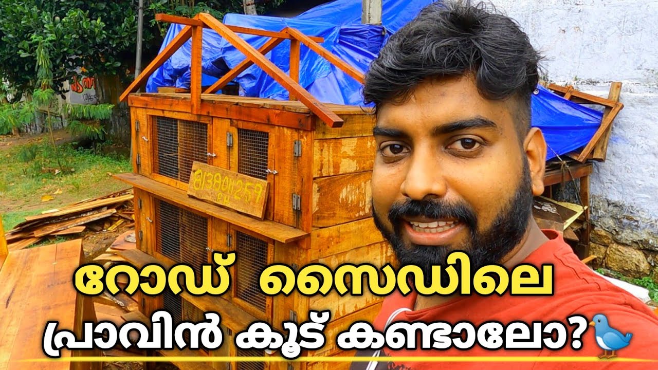 How to Making Simple Pigeon Cage in Malayalam പ്രവ് കൂട് Pigeon Cage