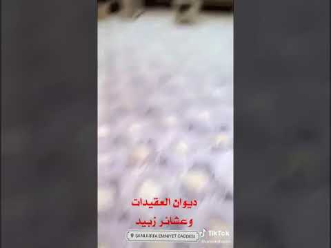 شاهد مضافة قبيلة العكيدات وعشائر زبيد في تركيا مدينة اورفا