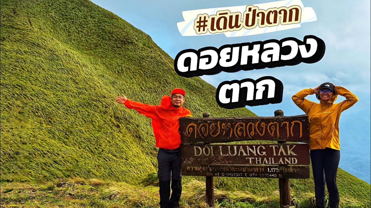 | ดอยหลวงตาก | ครั้งหนึ่งในชีวิต พิชิตเนินโล้นหลวง ชมต้นสนเดียวดาย เดินยาก หรือ เดินง่าย ไปดูกัน