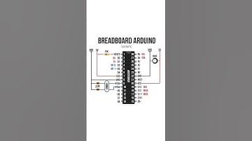 Breadboard Arduino #diy #discovery #arduino #atmega328p #microcontroller #project #satisfying