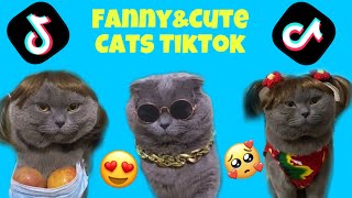 Cute&Fanny Cats TikTok videos 😍. Pets World 🌎 by Pets World 4 views 2 years ago 3 minutes, 37 seconds