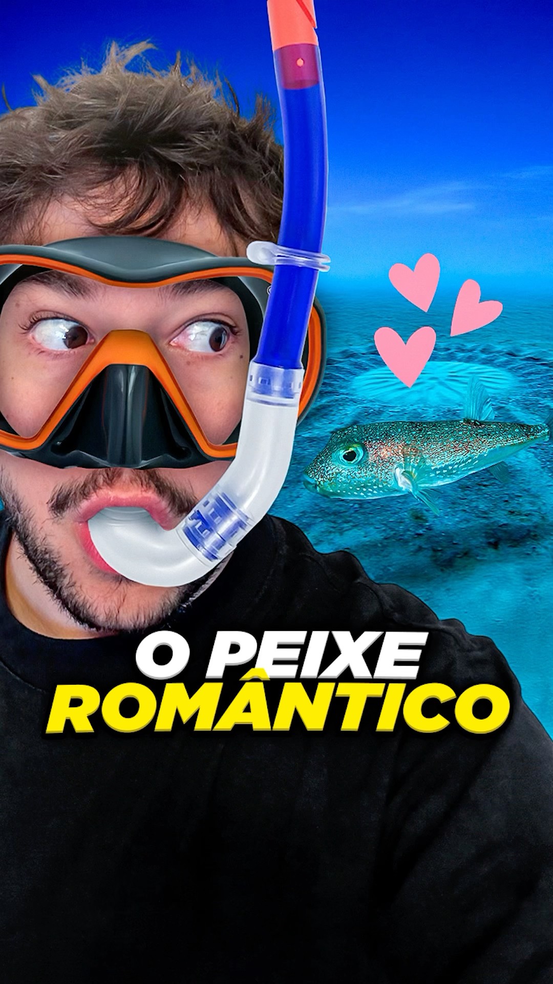 peixe romântico #livedobrino #humor #Mundinhobrino