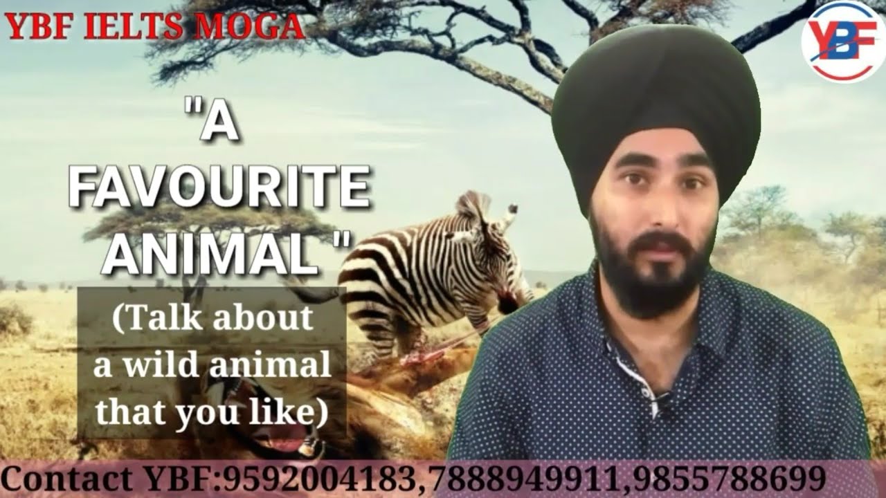 Talk About Your Favourite Wild Animal |Latest IELTS Cue Card| Easy sample  answer With Tips - YouTube