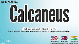 Calcaneus Pronunciation | How to Pronounce (say) Calcaneus CORRECTLY | Meaning Definition