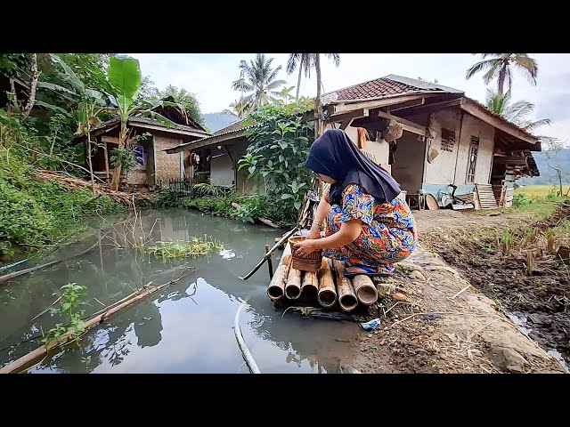 Suasana Rumah Tengah Sawah Ditambah Nasi Liwet Sangat Nikmat class=