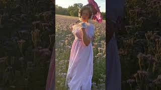 An evening stroll  i n the field of phacilia