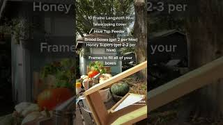 Beehive Components For Beginners