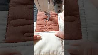 Guía Básica del Quilting,  un curso para quien nunca acolchó y quiere comenzar.