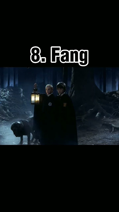 10 Hewan terbaik di harry potter
