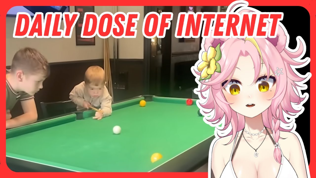 The Most Fun Daily Dose Of Internet Yet?? | Maddiekuma Reacts