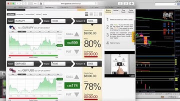 The Binary Lab Stoning by Julian Wong   Video 1