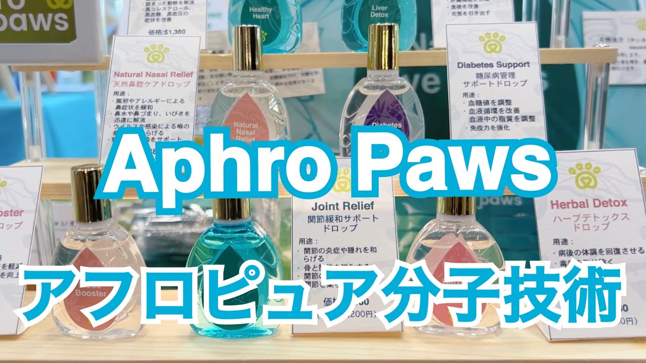 172 AphroPaws アフロピュア分子技術 @interpets2025 - YouTube