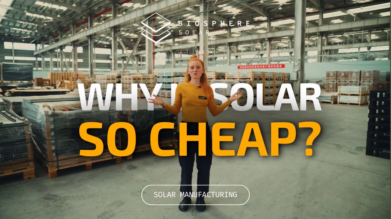 How China made Solar Cheap | Biosphere Solar