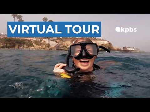 This virtual tour lets everyone see La Jolla's underwater park