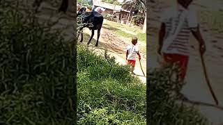 Mtoto mfugaji apania kuwa mwekezaji katika soko la mifugo Afrika.