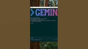 Gemini 3.0 inschakelen in de Gemini CLI