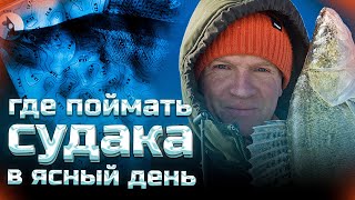 видео: Active Target помог найти леща. А есть ли рядом судак?? Рыбалка на Каме.(с. Красный Бор) картинка: Active Target помог найти леща. А есть ли рядом судак?? Рыбалка на Каме.(с. Красный Бор)