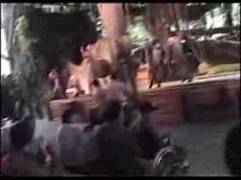 Tarzan Show (Disneyland Paris) Pt. 3 of 3