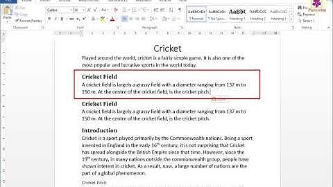 Using Copy and Paste Commands | Computer Training | Periwinkle