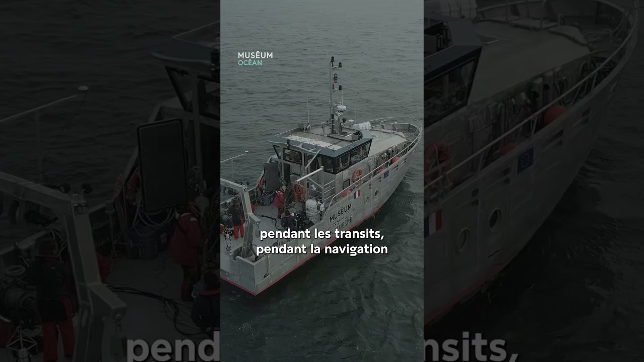 🌊✊ Nous avons tous un rôle à jouer dans la préservation de l'