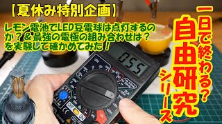 【1日で終わる自由研究】＃レモン電池でLED豆電球は灯るのか？＆最強の電極の組み合わせは？