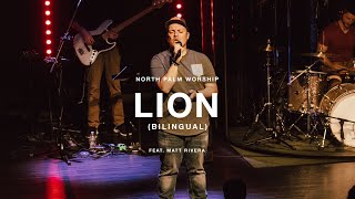 LION-Bilingual by Elevation Worship (Matt Rivera) | North Palm Worship