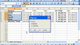 Excel 2003 Tutorial Applying and Removing Outlines Microsoft Training Lesson 19.2