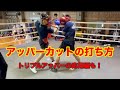 【トリプルアッパーの応用編アリ】アッパーカットの打ち方