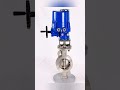 This video comprehensively showcases industrial butterfly valves: