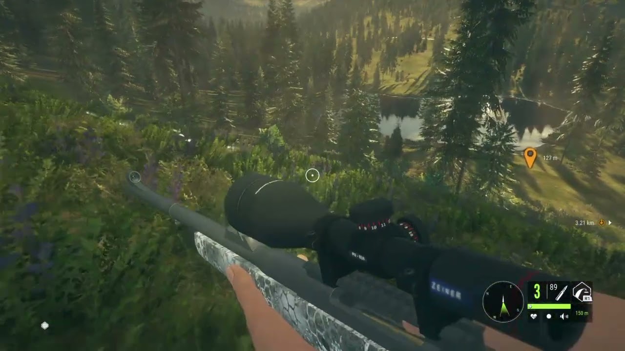 Diamond Rocky mountain elk in the hunter call of the wild