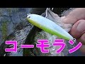 コーモラン・ファーストペンシルでブラックバスを釣る！低価格の高性能トップウォータープラグ！某メーカーペンシルベイトそっくり？！とりあえず、釣れてくれるので琵琶湖のおかっぱりで重宝します！